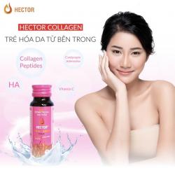 Đông trùng hạ thảo Collagen Hector Thức uống kỳ diệu giúp trẻ hóa làn da