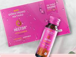 Giải đáp thắc mắc Nước Đông trùng hạ thảo collagen Hector có tốt không?