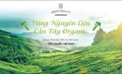 Thành phần của Nước ép cần tây Green Beauty