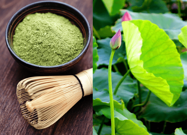 10 loại thảo dược thiên nhiên quý có trong trà giảm cân Hoa Sâm Đất