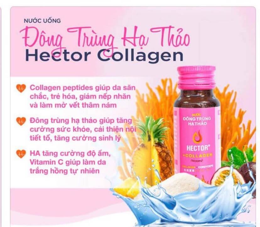 Giải đáp thắc mắc Nước Đông trùng hạ thảo collagen Hector có tốt không?