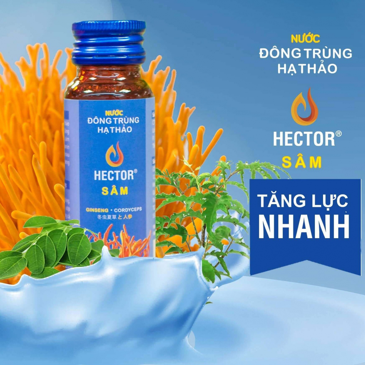 Giới thiệu tất tần tật về Nước đông trùng hạ thảo sâm Hector