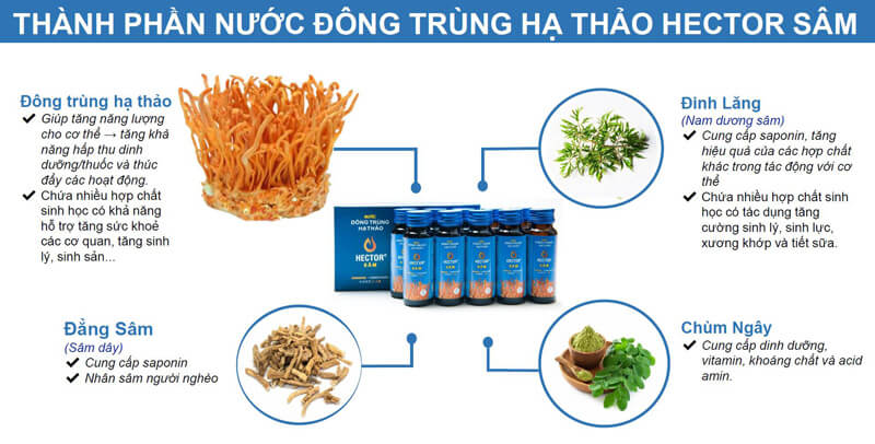 Giới thiệu tất tần tật về Nước đông trùng hạ thảo sâm Hector