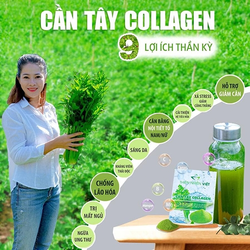 Cần tây Collagen Thiên Nhiên Việt