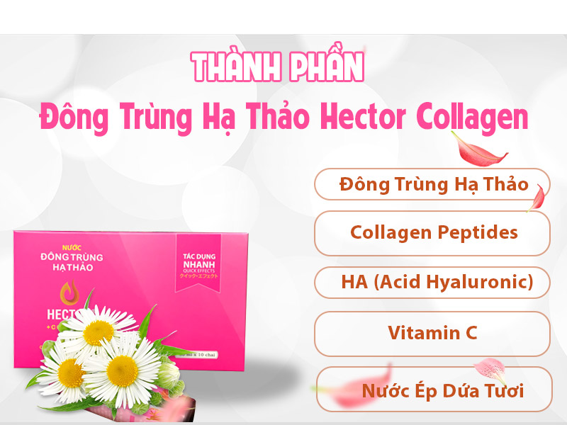 thanh-phan-nuoc-dong-trung-ha-thao-hector-collagen